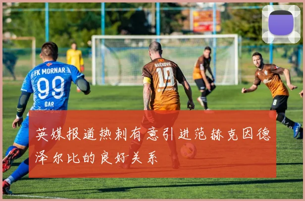 英媒报道热刺有意引进范赫克因德泽尔比的良好关系